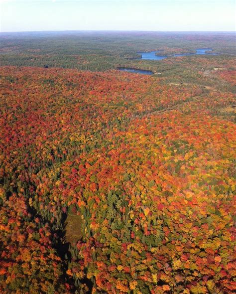 Fall colors aerial over St Nora Barbara Bissell • Dorset Ontario ...