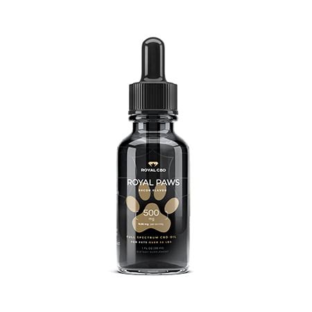 Best CBD Oil for Dogs with Arthritis: Top Products Review (2022) - CFAH