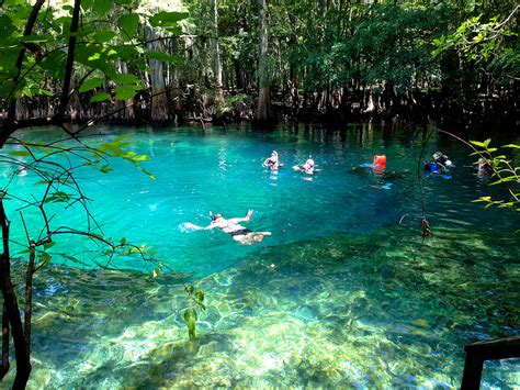 Springs of the Lower Suwannee | Florida Hikes!