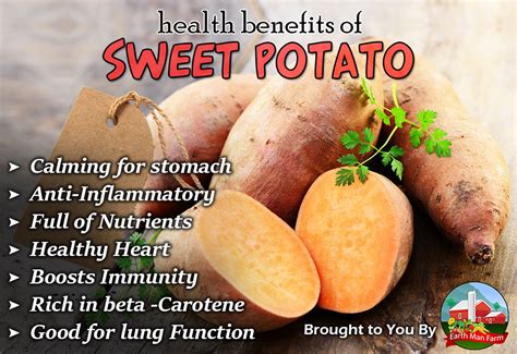 Health Benefits of Sweet Potato - Earth Man Farm