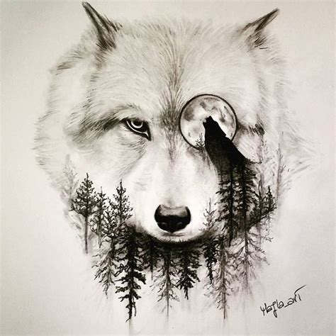 Wolf Drawing at GetDrawings | Free download