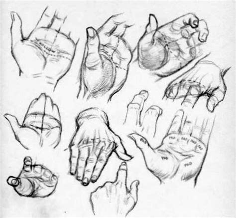 Hand Palm Drawing at GetDrawings | Free download