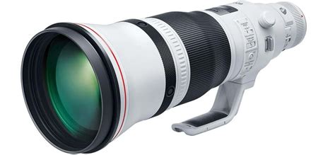 Which Canon Lenses For Wildlife Photography Do Experts Use?