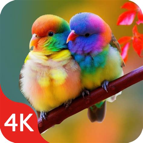 Birds Wallpapers Live in 4K for PC / Mac / Windows 11,10,8,7 - Free ...