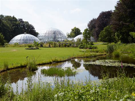 Botanical Garden, Zürich, Switzerland - Heroes Of Adventure