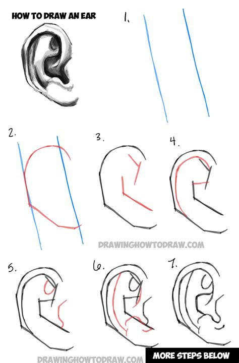 Learn How to Draw Ears and How to Shade Them : Drawing and Shading Ears Tutorial – How to Draw ...