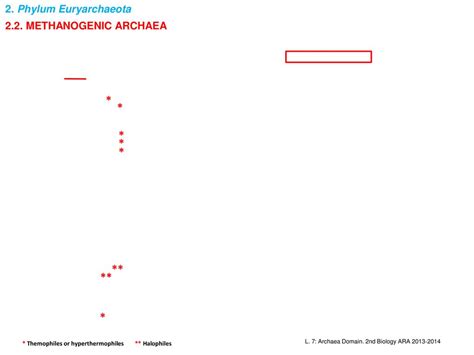 LECTURE 7. DOMAIN Archaea - ppt download