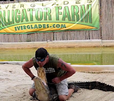 :: Everglades Alligator Farm :: | Everglades, Airboat rides, National parks