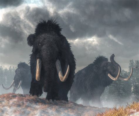 Finding The Cause of Mammoth Extinction | Tech Bichitra
