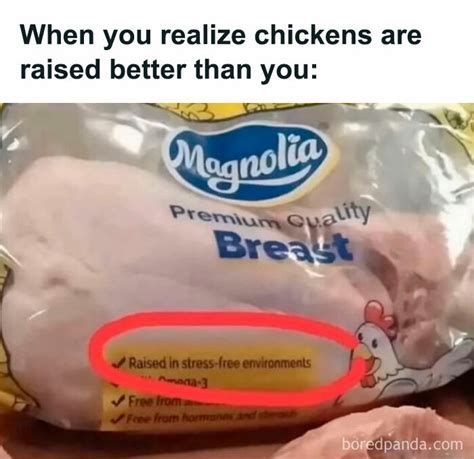 50 Funny Food Memes, As Shared On This Popular Instagram Page | Bored Panda