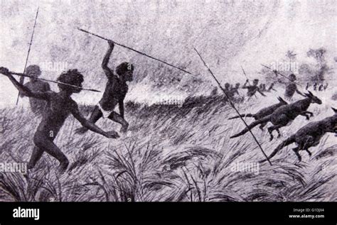 Aborigines hunting Wallabies in Queensland, Australia. Dated 1850 Stock ...