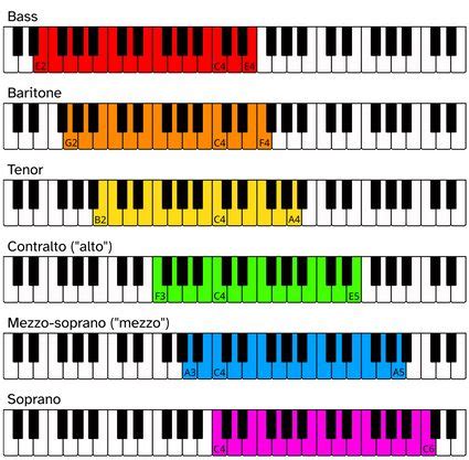 Calculadora de rango vocal