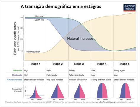 A transição demográfica e os direitos reprodutivos