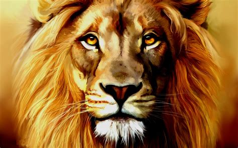 Lion Face Wallpaper | Amazing Wallpapers