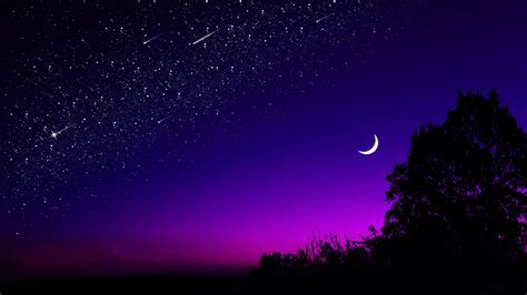 Moon Tree Starry Sky Night Stars Dark 4K HD Creative Wallpapers | HD Wallpapers | ID #33684