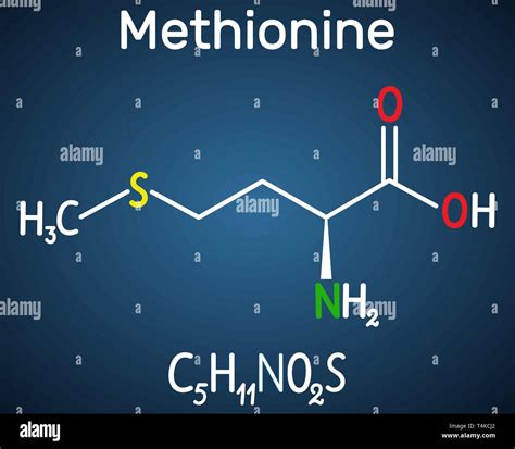 Methionine hi-res stock photography and images - Alamy