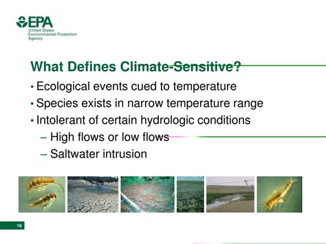 PPT - Using Biological Monitoring to Detect Climate Change Effects: A ...