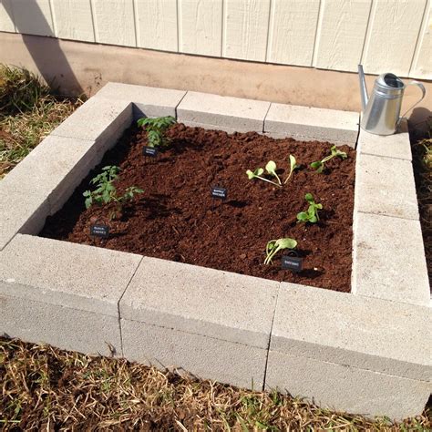 How To Build A Cinder Block Raised Garden Bed