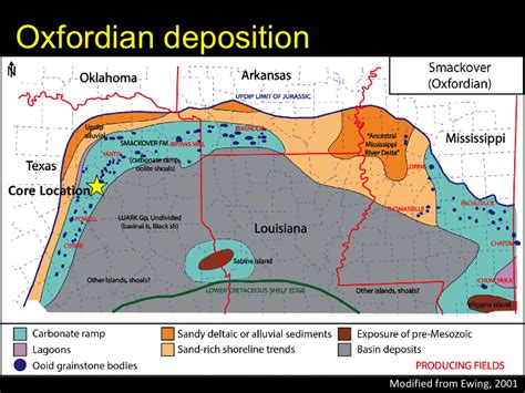 Lithofacies and Geochemical Properties of the East Texas Smackover ...