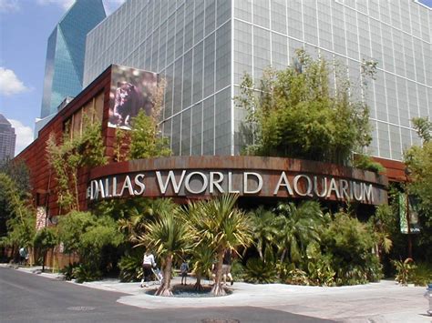 The Dallas World Aquarium is excited to welcome everyone back 🐠🦀🦈🦑 For ...