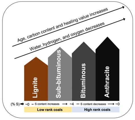 Coal | Properties, Formation, Occurrence and Uses