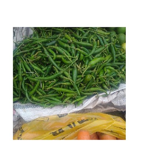 Green Pepper | ቃሪያ - jegolgifts.com