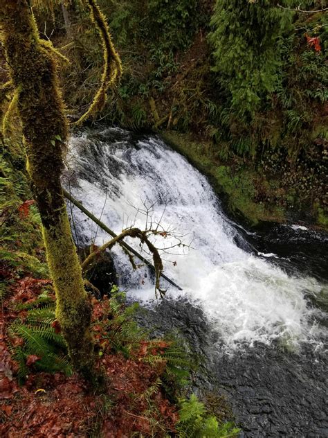 Silver Falls Canyon Trail Shorter Loop from Winter Falls Trailhead ...