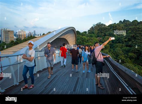 Henderson waves bridge singapore hi-res stock photography and images ...