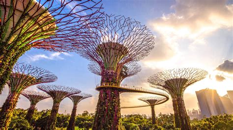 Gardens by the Bay | Entrance Fee, Opening Hours & More