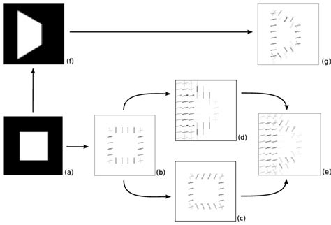 (a) Example image; (b) HOG features from image; (c) HOG features with ...