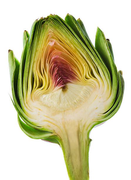 3,200+ Artichoke Heart Stock Photos, Pictures & Royalty-Free Images - iStock