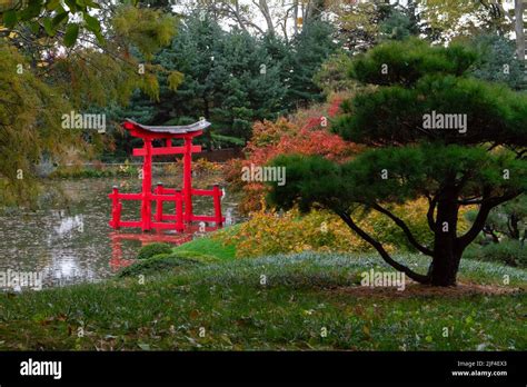 Autumn in a Japanese garden Stock Photo - Alamy