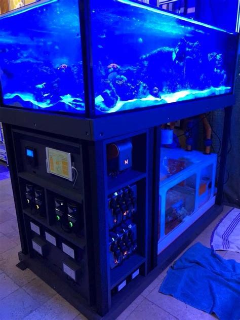 Marine aquarium setups - holoserseeker