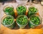 Dilly Beans: Recipe for Canning Green Beans