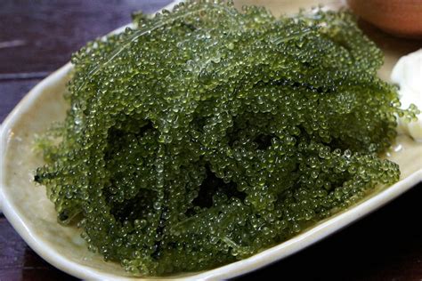 Seaweed Pairings | All About Japan