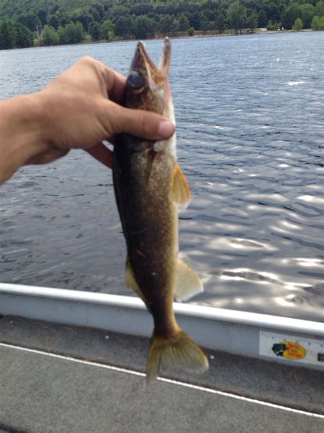 Great Sacandaga Lake NY Fishing Reports, Map & Hot Spots