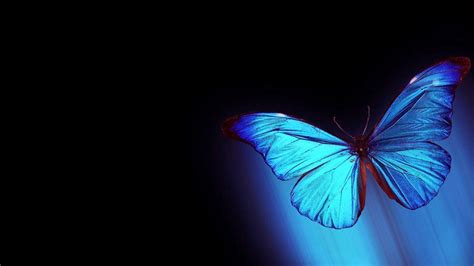 Abstract Butterfly Wallpapers - Wallpaper Cave