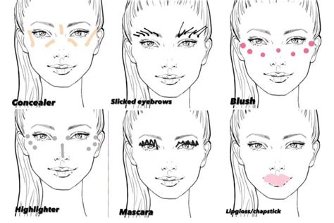 no makeup makeup in 2023 | Makeup routine, Makeup face charts, Face makeup tutorial