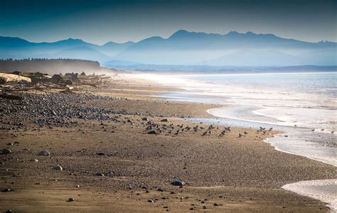 Explore the Dungeness Spit and Wiuldlife Refuge