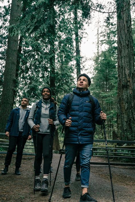 People Hiking in a Forest · Free Stock Photo