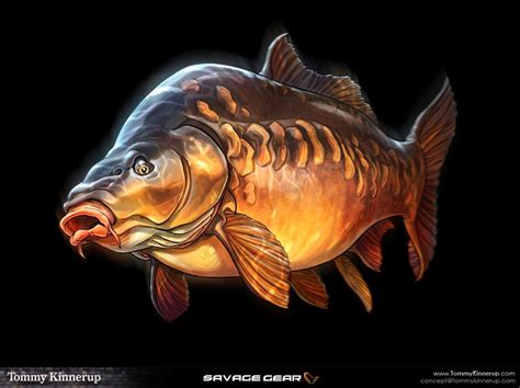 Fish Umělecká na Behance | Fish illustration, Fish art, Fish artwork