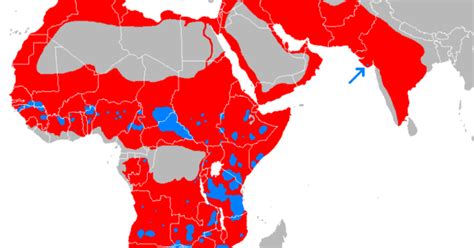 Historic vs Present Geographical Distribution of Lions – Brilliant Maps