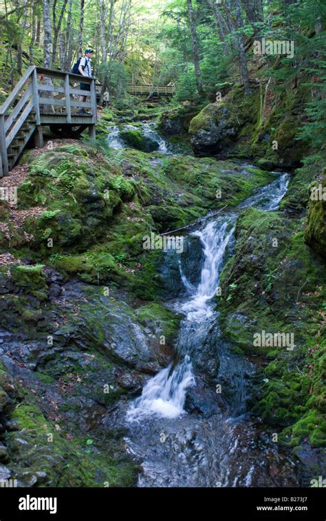 hiking trail Fundy National Park New Brunswick Stock Photo - Alamy