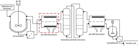 Flowsheet of the succinic acid production process as derived from the ...