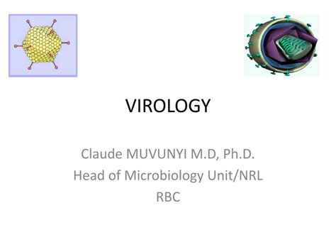 PPT - VIROLOGY PowerPoint Presentation, free download - ID:2274770