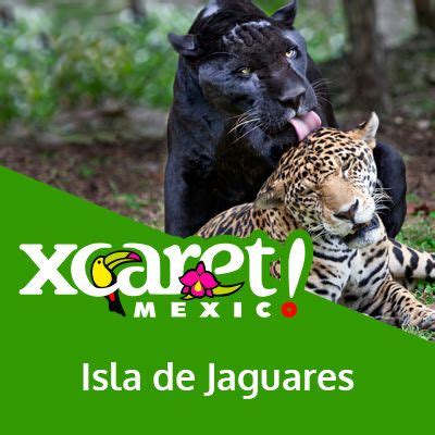 Jaguar Island | A wild adventure in Xcaret Park Cancun | Xcaret, Cancun trip, Riviera maya