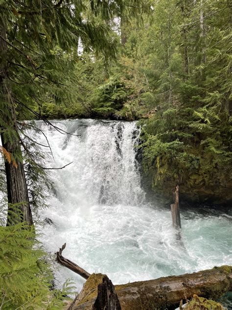 McKenzie River Waterfalls Hike - Pacific Northwest Explorer