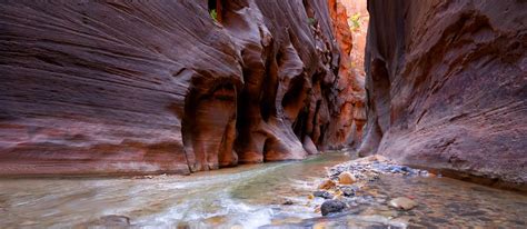 Zion National Park Tours | ROAM Outdoor Adventure Tour Co.