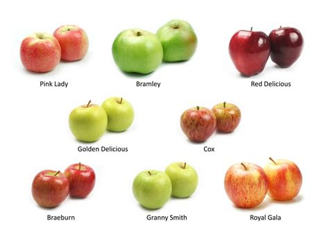 Apple Varieties