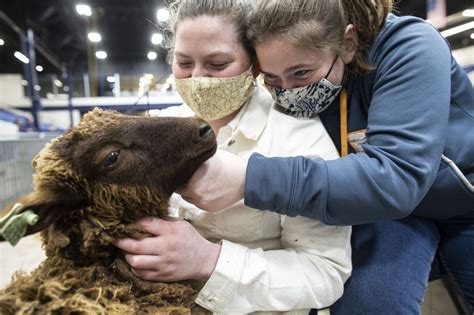 Cute animals from the Pa. Farm Show - pennlive.com